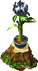 Ziergebäude Pflanze